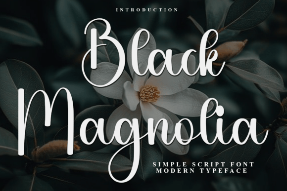 Black Magnolia: A Modern Script for Timeless Design